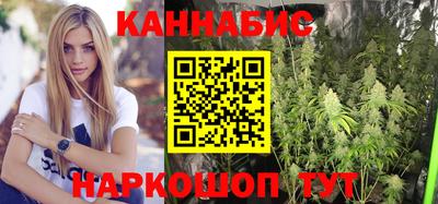 шишки Новокубанск